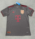 Bayern Munich 2025-2026 Gray 125th Anniversary Fan Version Jersey